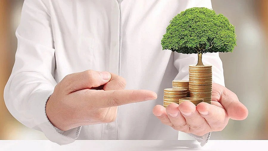 Fixed Deposits vs. Debt Funds – Which One Yields More Profits?