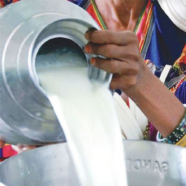 `பால் உற்பத்தியில் முதலிடம்...ஆனால்?' - அதிர்ச்சியளித்த ஆய்வு முடிவு