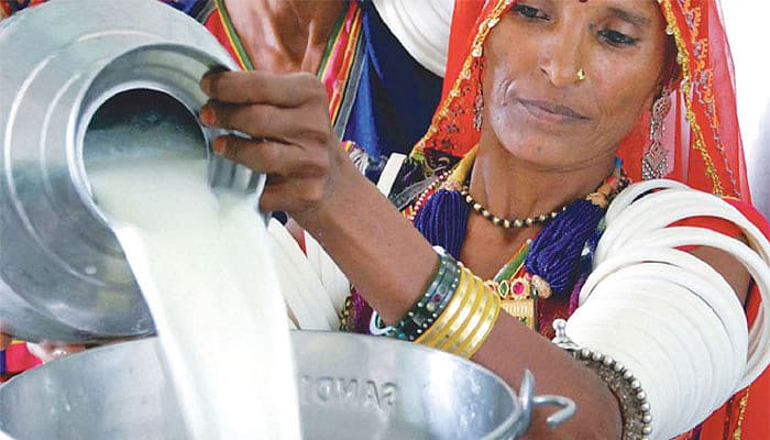 `பால் உற்பத்தியில் முதலிடம்...ஆனால்?' - அதிர்ச்சியளித்த ஆய்வு முடிவு