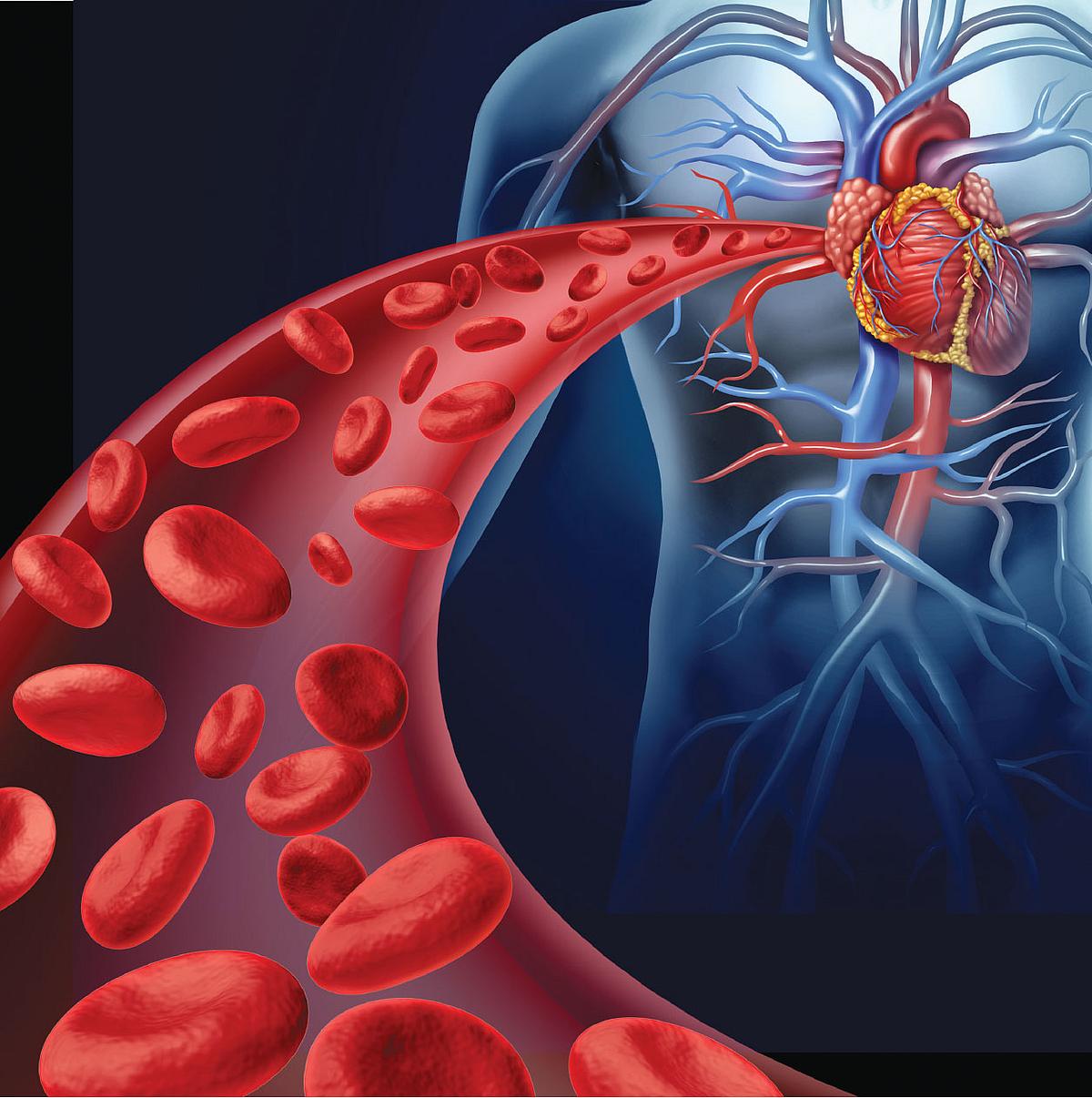 இதய ரத்த நாளங்களில் அடைப்பு ஏற்படும்போது நெஞ்சு வலி வருவது போல, கால்களுக்குச் செல்லும் ரத்த நாளங்களில் அடைப்பு ஏற்பட்டால் (Peripheral Arterial Disease) கால் வலி வரலாம்.