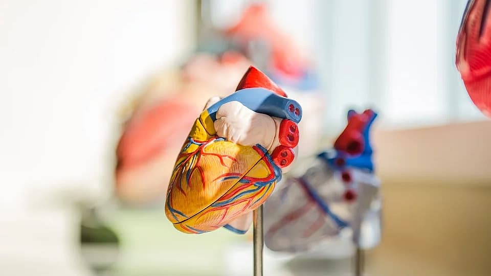 பைபாஸ் சர்ஜரி செய்தவர்களுக்கு ஆஞ்சியோகிராம் அவசியமா?