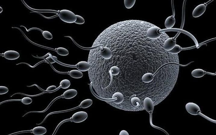 ``செயற்கை முறை கருத்தரித்தல் குழந்தையின் ஆயுளைப் பாதிக்குமா?" - மகப்பேறு மருத்துவரின் விளக்கம்