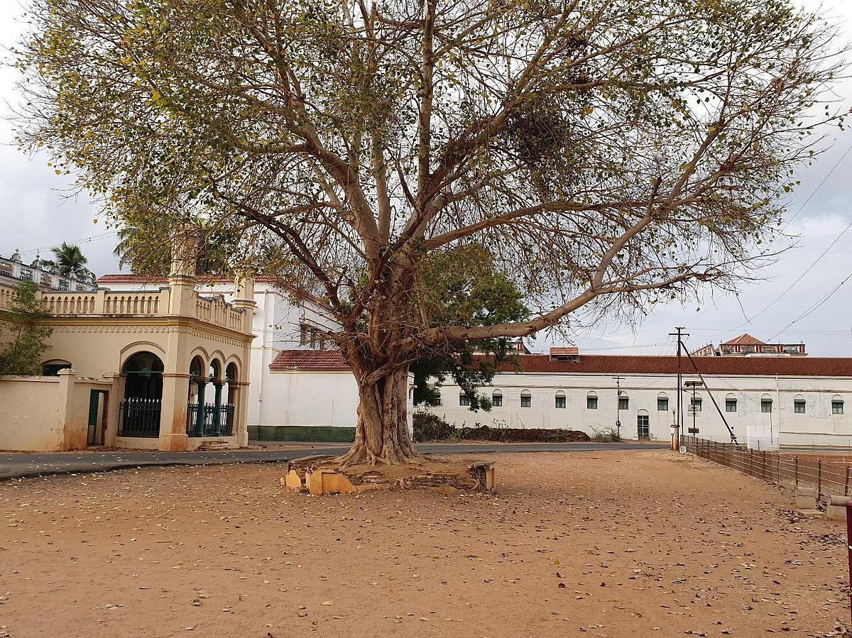 Chettinad