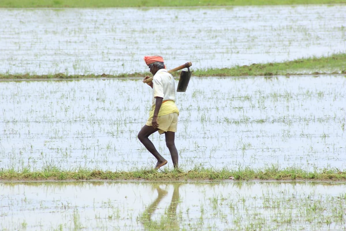 விவசாயம்