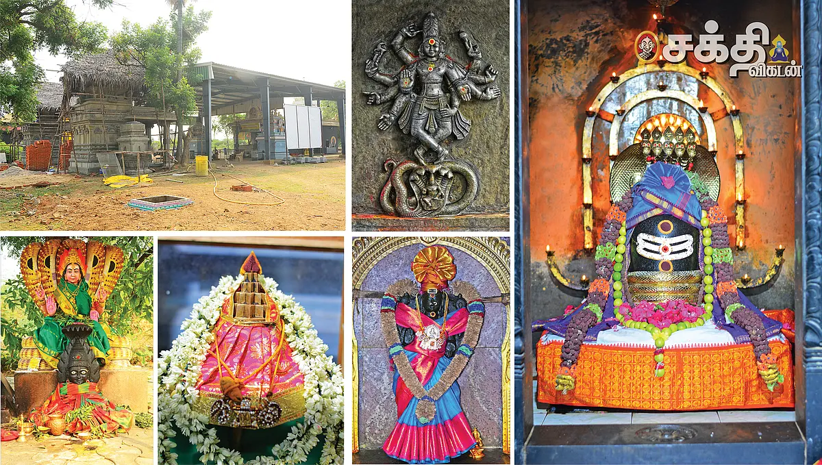 மஹாமிருத்யுஞ்ஜய ஹோமம்