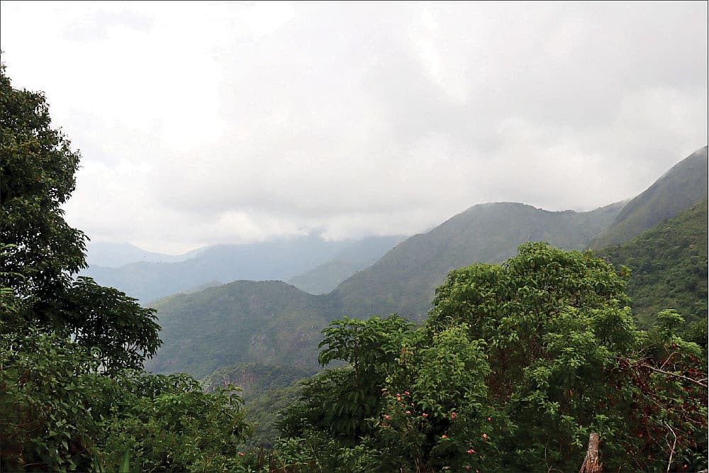 கொடைக்கானல் வெள்ளகவி