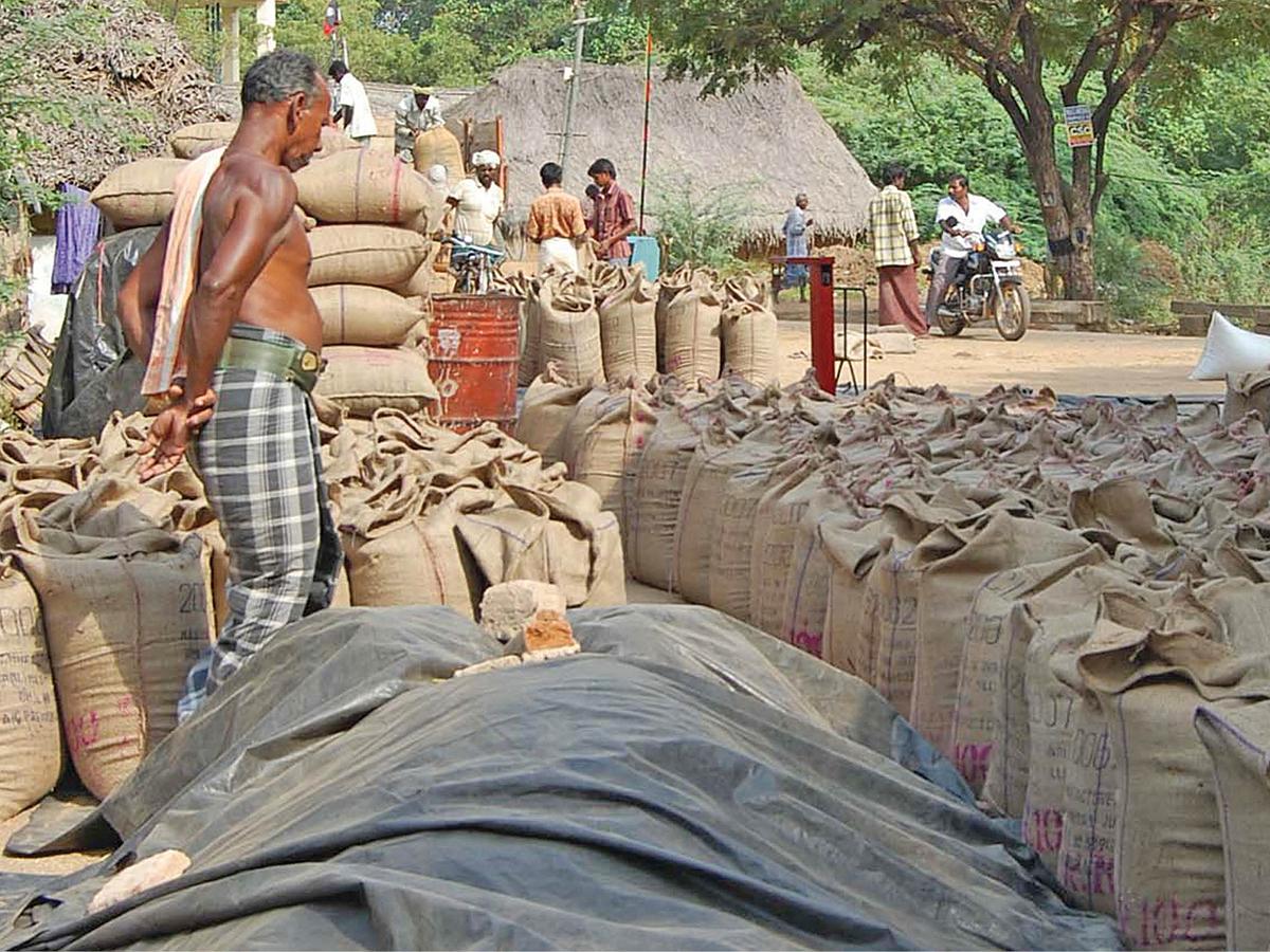 அரசு நெல் கொள்முதல் நிலையம்