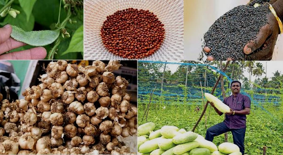 புவிசார் குறியீடு பெற்ற பொருள்கள் | கோப்புப் படம்