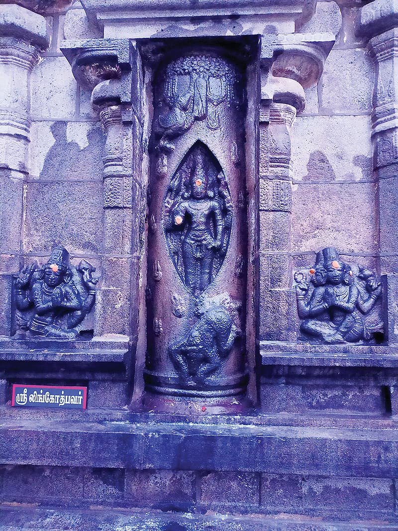 லிங்கோத்பவர் தரிசனம்