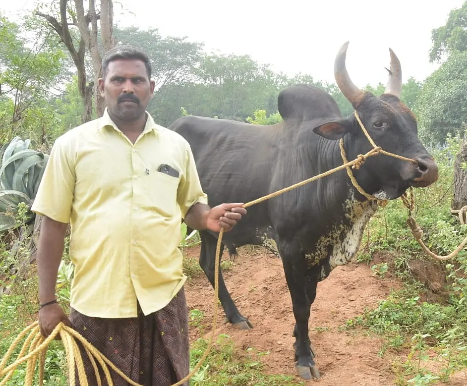 ராமர் என்ற சேதுராமன்
