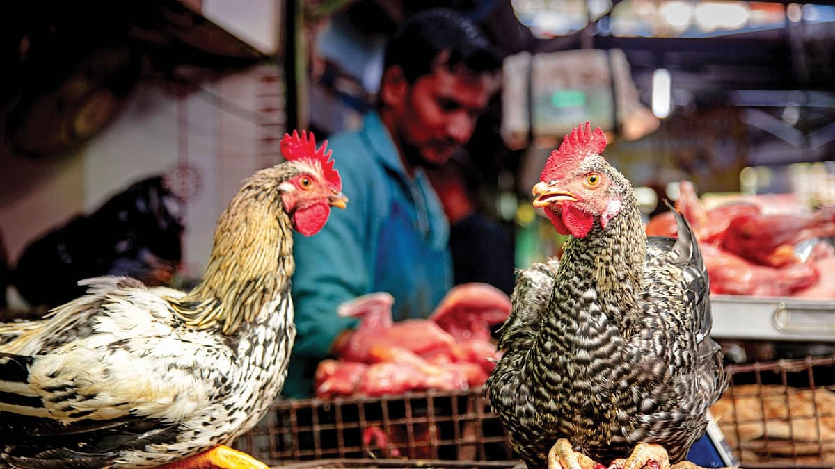 இறைச்சிக் கடை