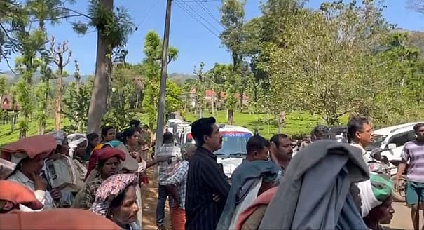  புலி தாக்குதல் 