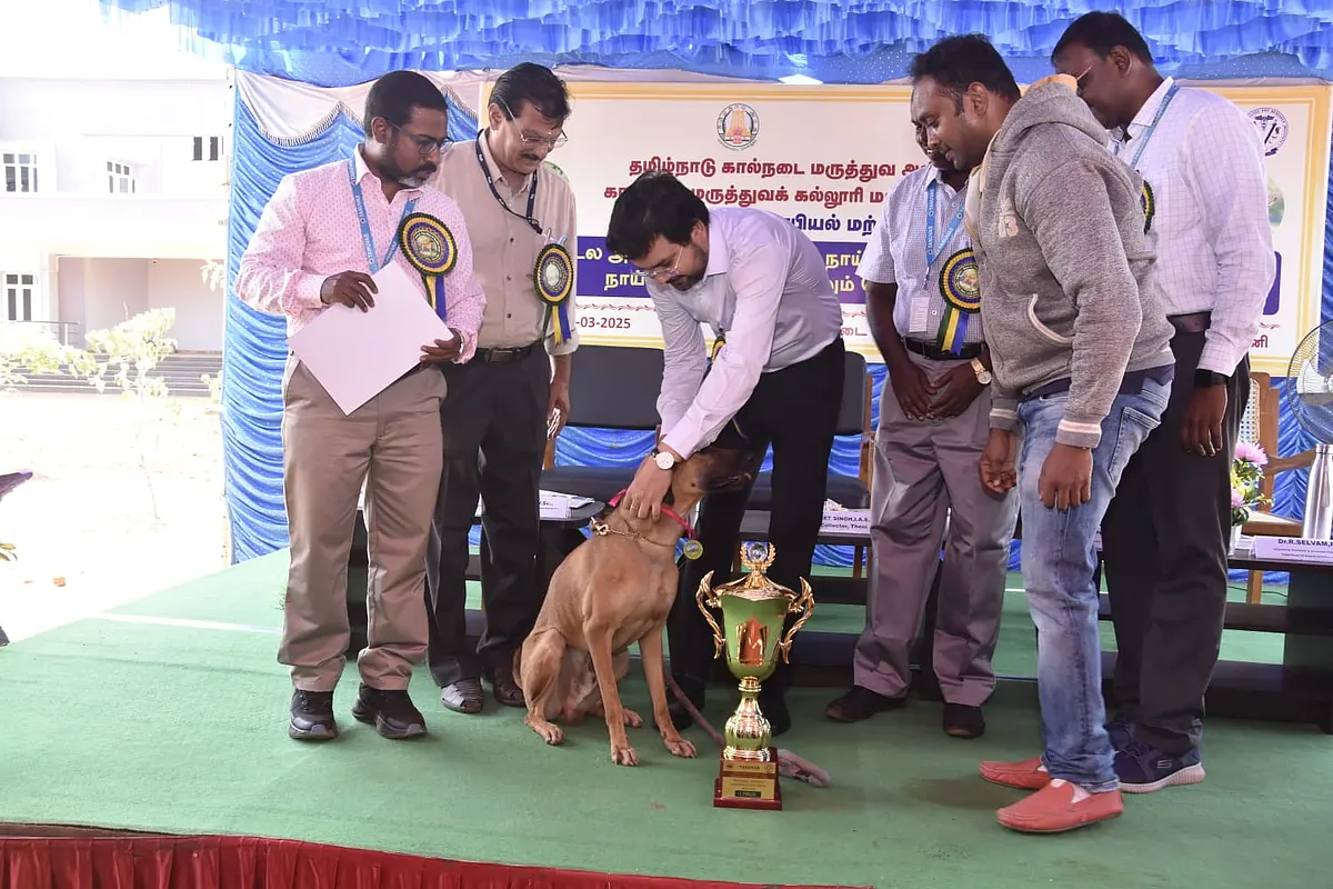 முதல் பரிசை வென்ற நாய்க்கு பதக்கம் அணிவித்த தேனி கலெக்டர்