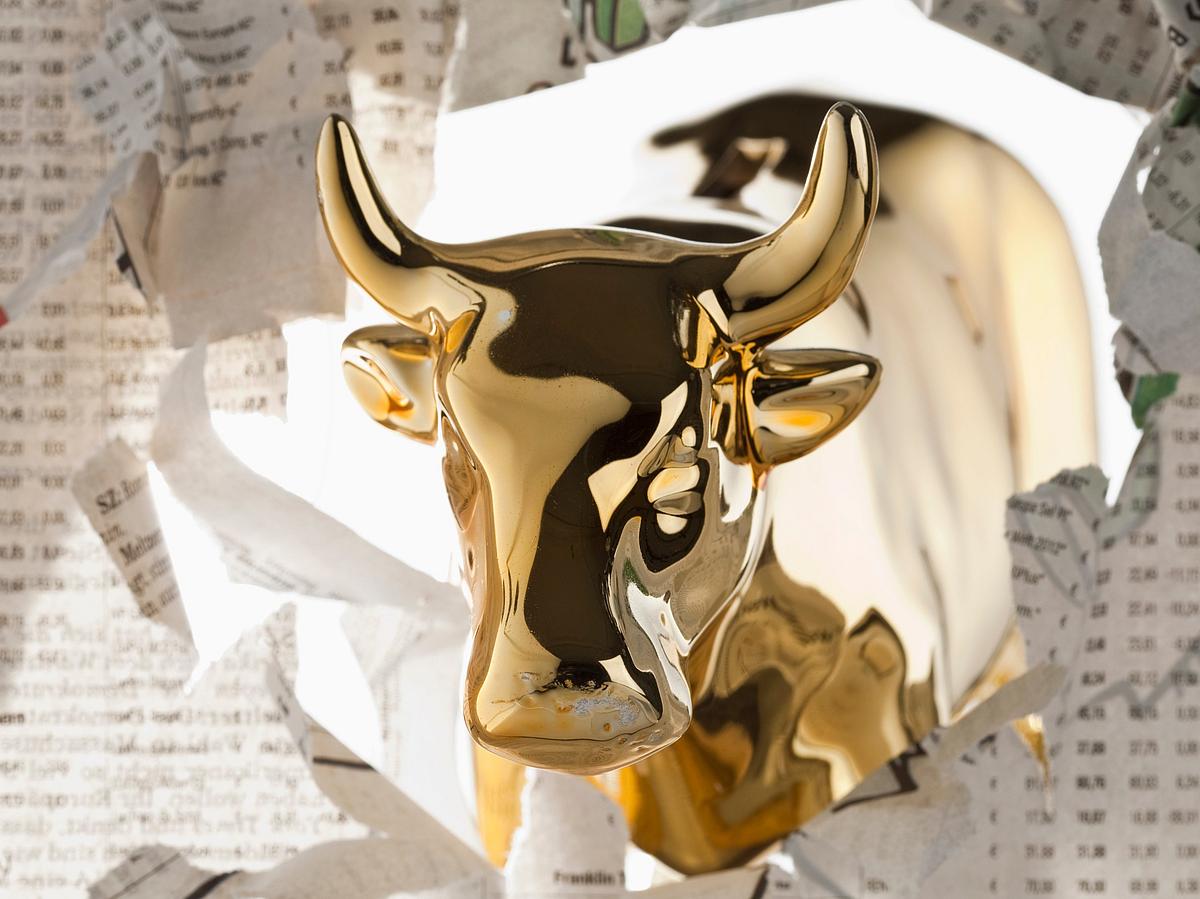 பங்குச் சந்தை - காளை