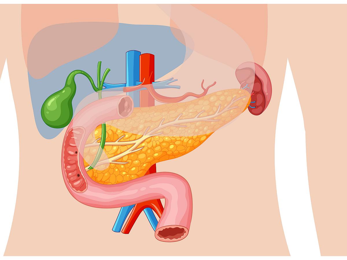 பித்தப்பை கற்கள் - பிறக்கும் குழந்தையை பாதிக்குமா?