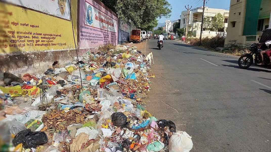 தேனிமாவட்ட ஆட்சியர் கவனத்திற்கு…   அல்லி நகரம்..கொல்லி நகரமா…?