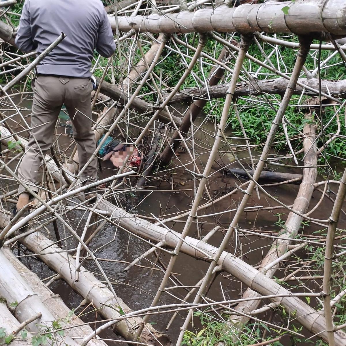 புலி தாக்குதல் சம்பவம்