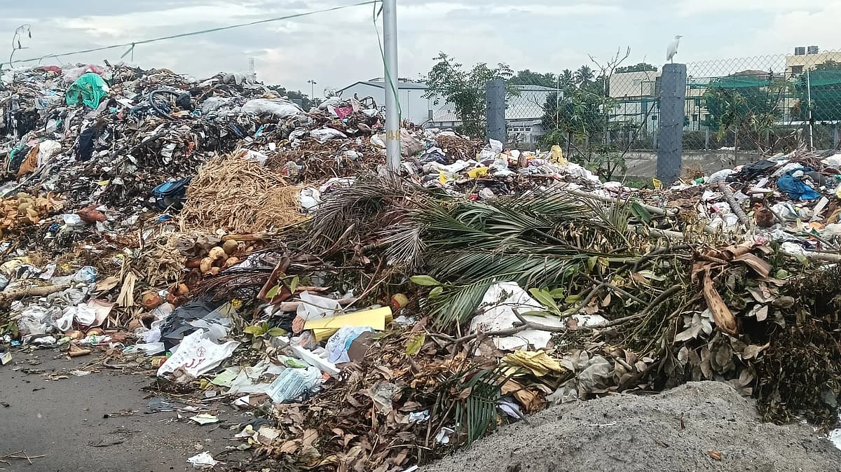 திருப்பூர்: மலை போல குவியும் குப்பைகள்