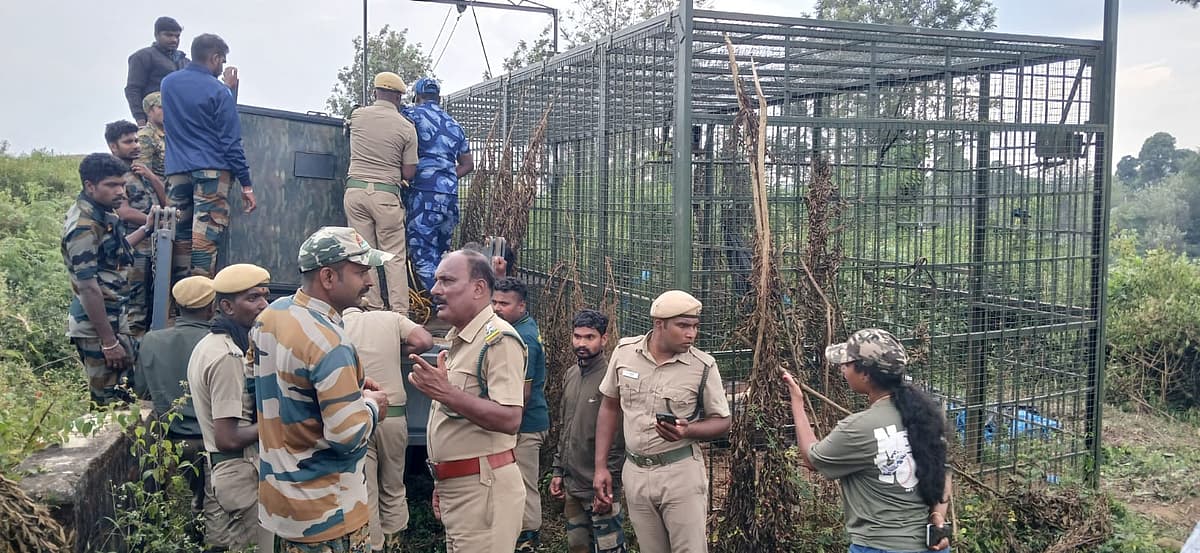 வனத்துறையினர்