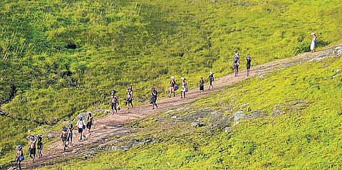 ஐயப்ப பக்தர்கள் பாதயாத்திரை