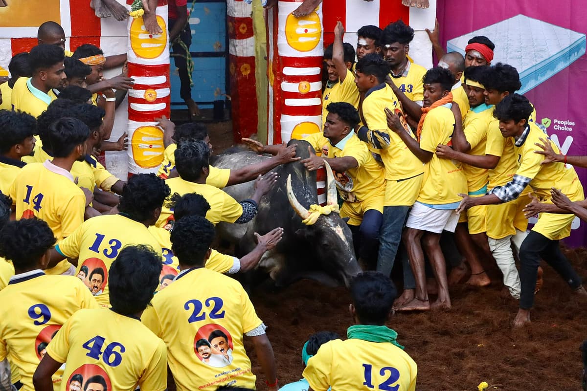 அலங்காநல்லூர் ஜல்லிக்கட்டு