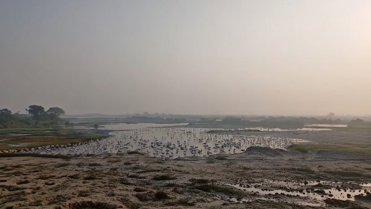 நெம்மேலி ஏரி