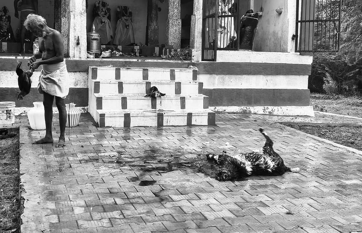 `ஒத்த தங்கைய ஈட்டியால கொல்லுறீங்களே...' ஆணவக்கொலை செய்யப்பட்ட பூச்சியம்மனின் கதை |ஆங்காரிகளின் கதை 4