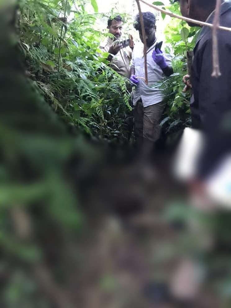 உடல் பாகங்கள் மீட்பு