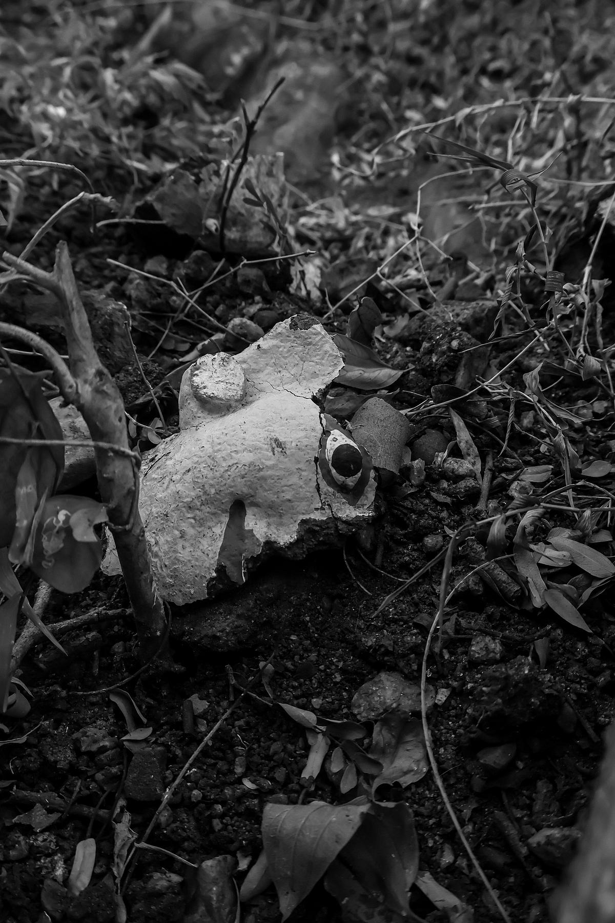 `ஒத்த தங்கைய ஈட்டியால கொல்லுறீங்களே...' ஆணவக்கொலை செய்யப்பட்ட பூச்சியம்மனின் கதை |ஆங்காரிகளின் கதை 4