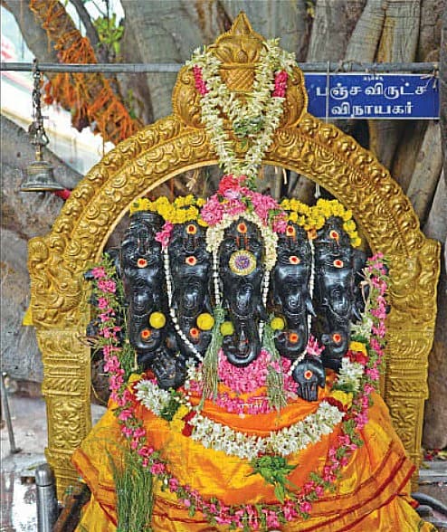 மருதமலை மருதாசலமூர்த்தி திருக்கோயில் பஞ்சவிருட்ச விநாயகர்