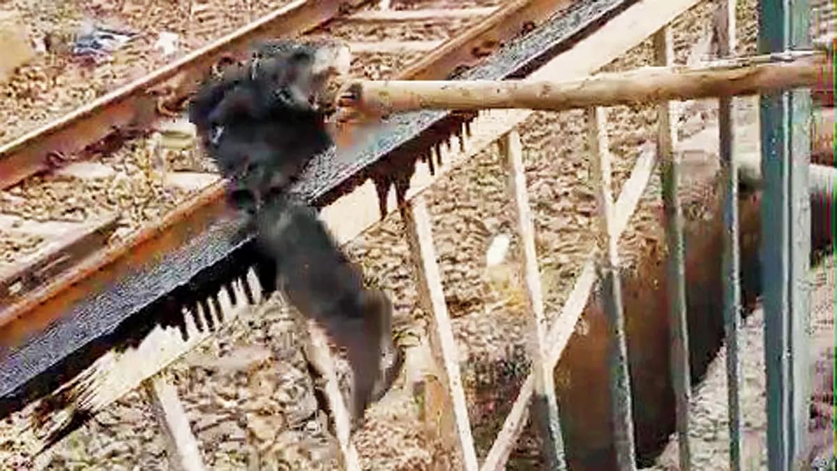 இரும்பு தடுப்பு