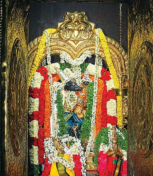 மேல்பொதட்டூர் தரணி வராகப்பெருமான்