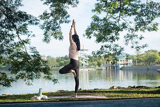 Flamingo balance test