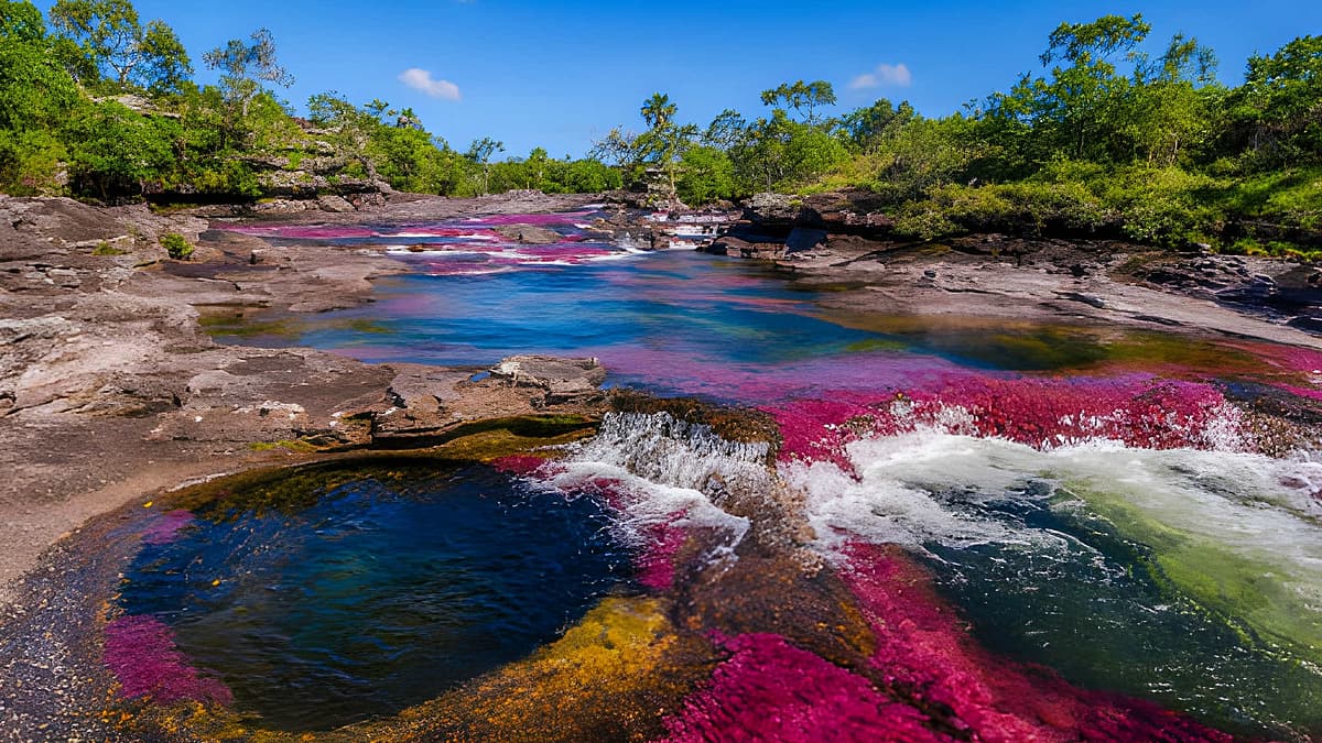 ஒரே நதி... ஐந்து நிறங்கள்