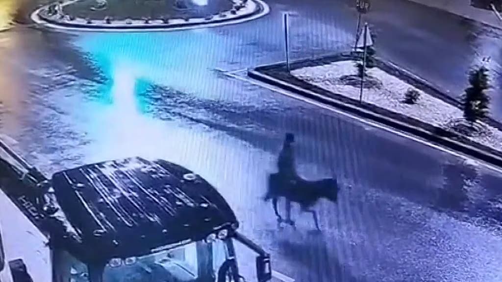 கழுதையில் தப்பிச்சென்ற திருடன்