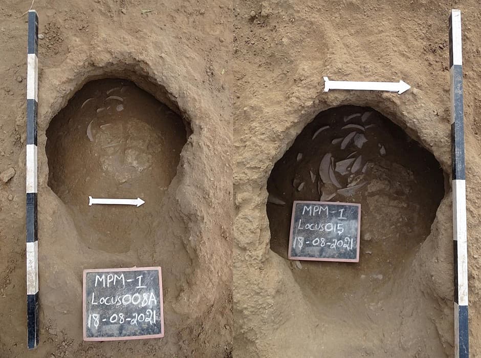 கோவையில் வாழ்ந்த காண்டாமிருகங்கள் - கிடைத்த ஆதாரம்... தொல்லியல் ஆய்வில் வெளியான தகவல்கள்!