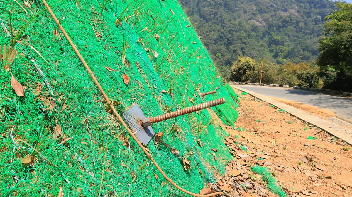 நெய்லிங்க் முறை