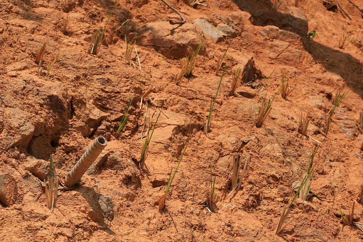 நிலச்சரிவைத் தடுக்க மலைப்பகுதிகளில் பின்பற்றப்படும் `நெய்லிங்க் முறை' - எப்படி பயன் தரும்?!