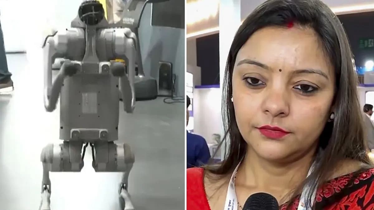 சீன நாய், நேஹா சிங்