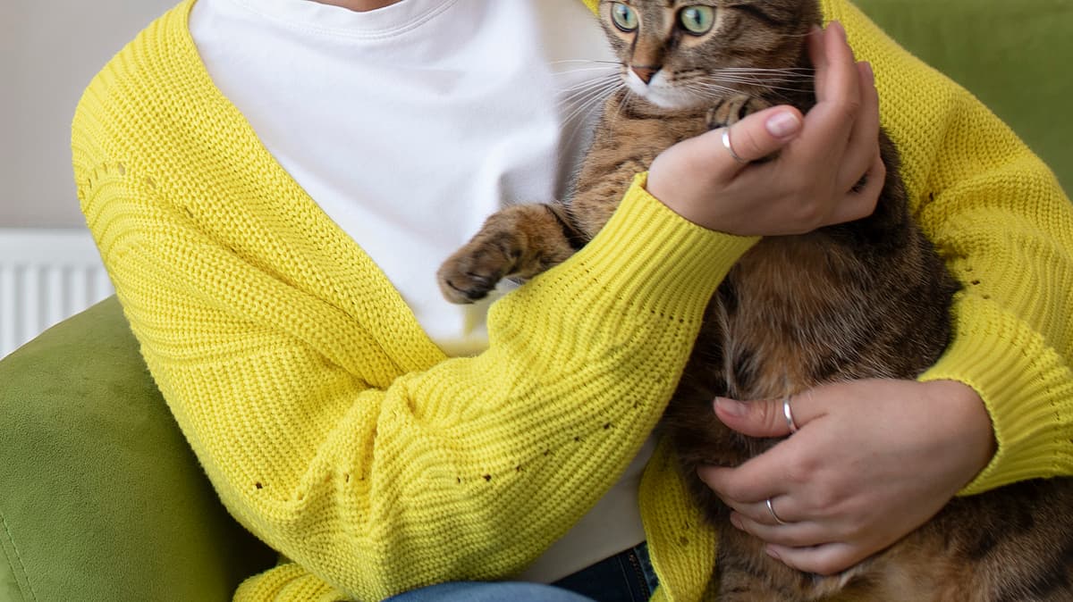 செல்லப் பிராணிகள் வளர்த்தால் நோய் எதிர்ப்பாற்றல் கூடுமா?