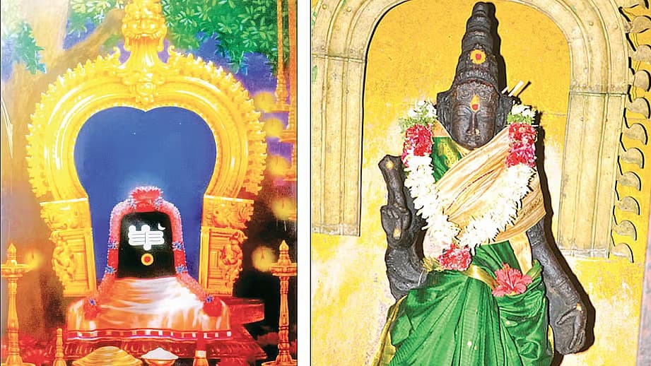 பரியா மருதுப்பட்டி பறியா மருதீஸ்வரர்