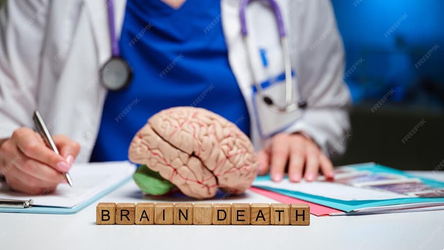 மூளைச்சாவு என்பது என்ன...?