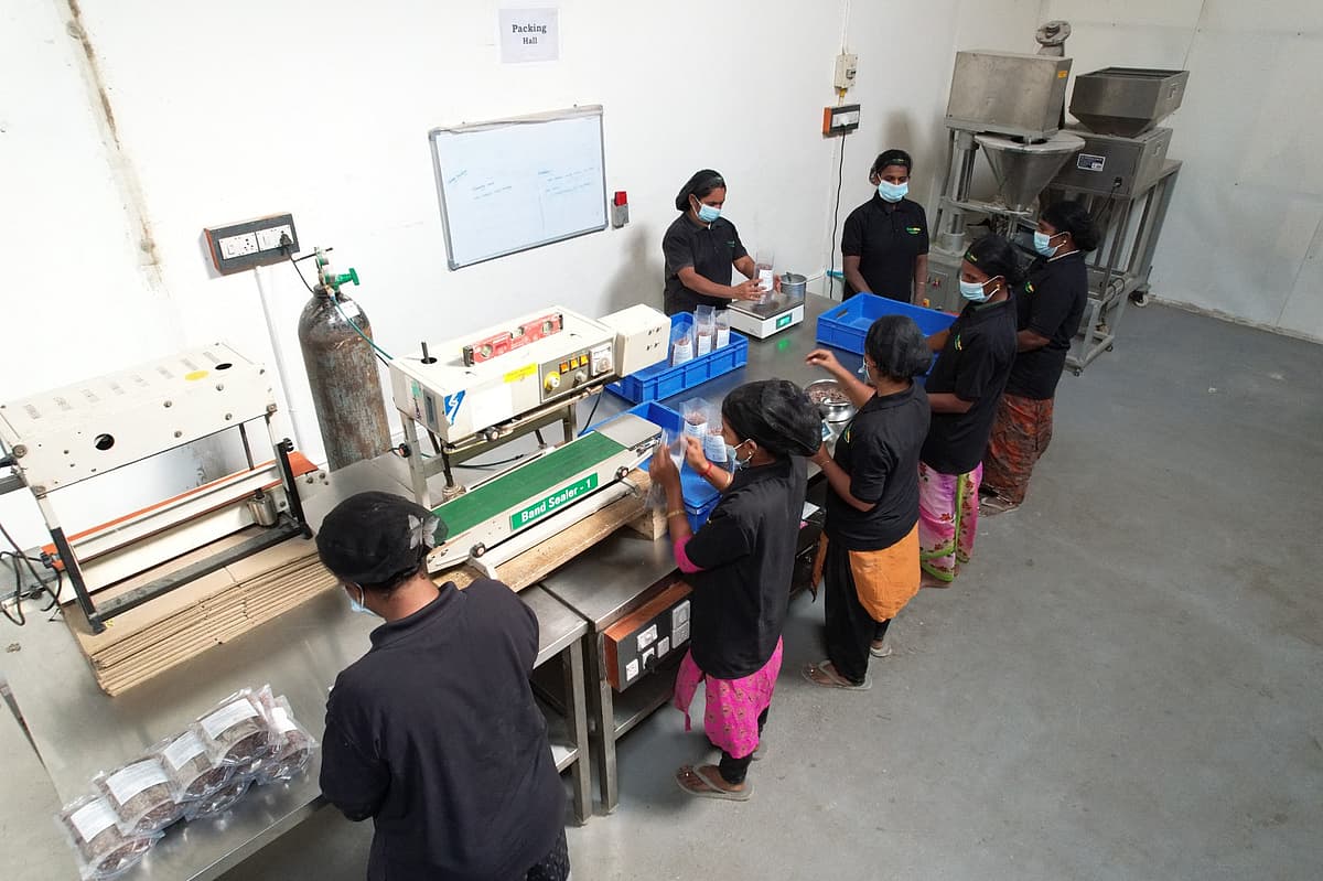 Even More Foods - StartUp சாகசம் 57