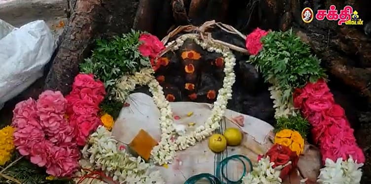 வேலூர் ஈசன்மலை: ஈ வடிவில் சித்தர்; ஜம்புகேஸ்வரர்; வாரயிறுதி ஆன்மிகப் பயணம் செய்ய ஏற்ற தலம்!