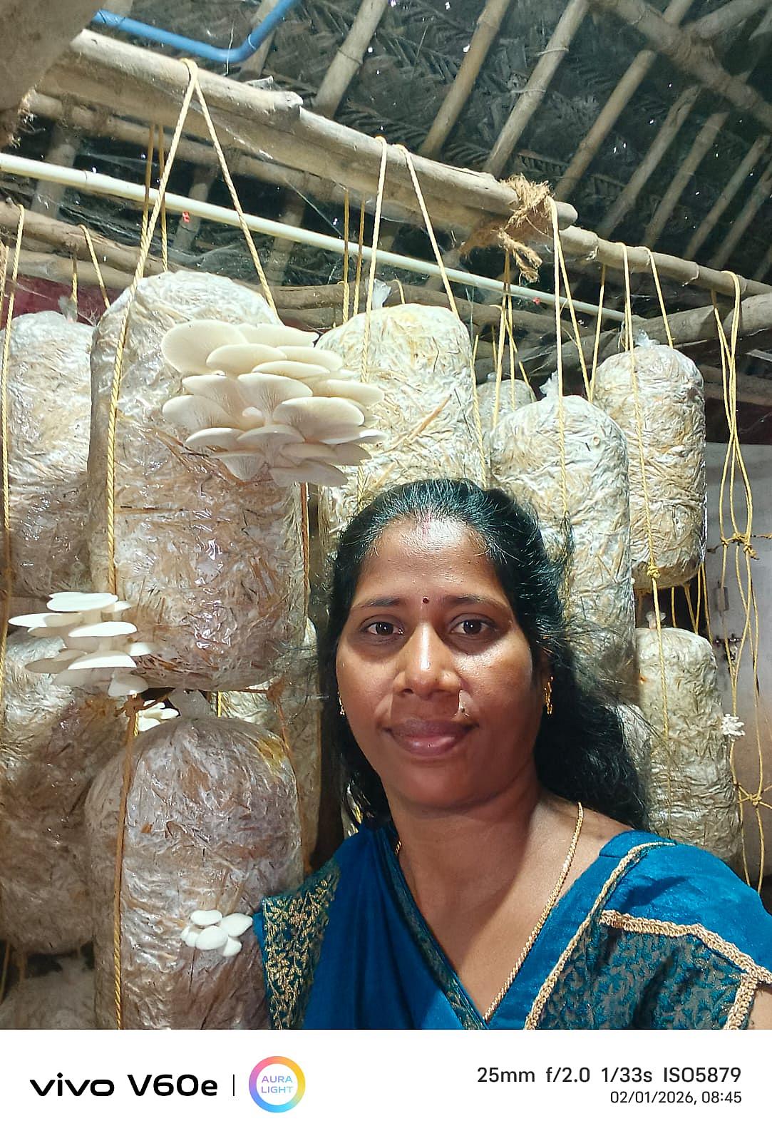 காளான் வளர்ப்பு