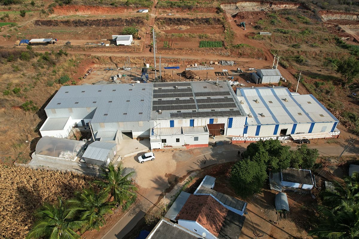 Even More Foods - StartUp சாகசம் 57