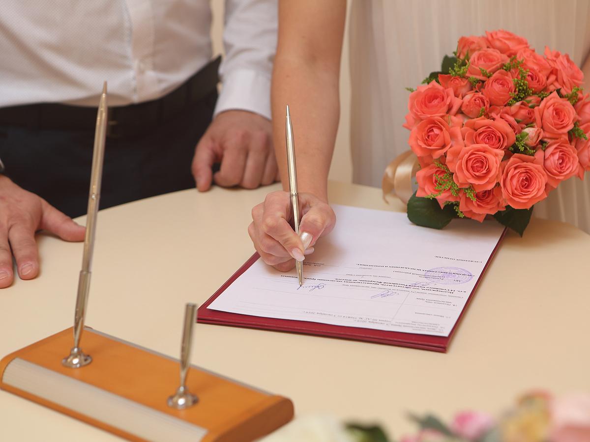 தி குஜராத் ஸ்டோரி.