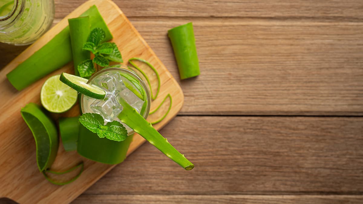 கற்றாழைச் சாறு குடித்தால் சளி பிடிக்குமா?