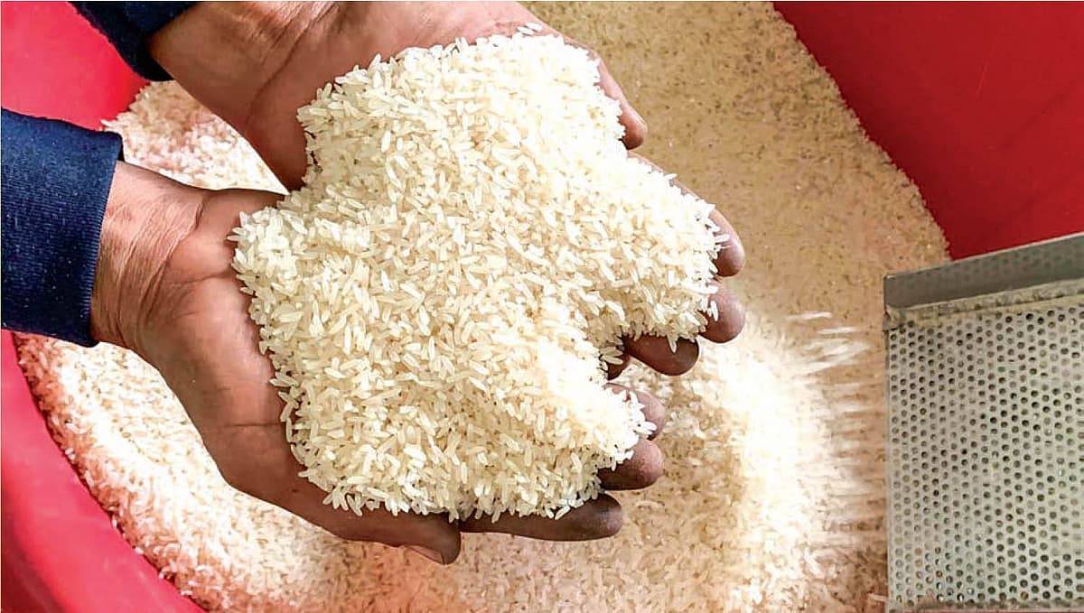 செறிவூட்டப்பட்ட அரிசி