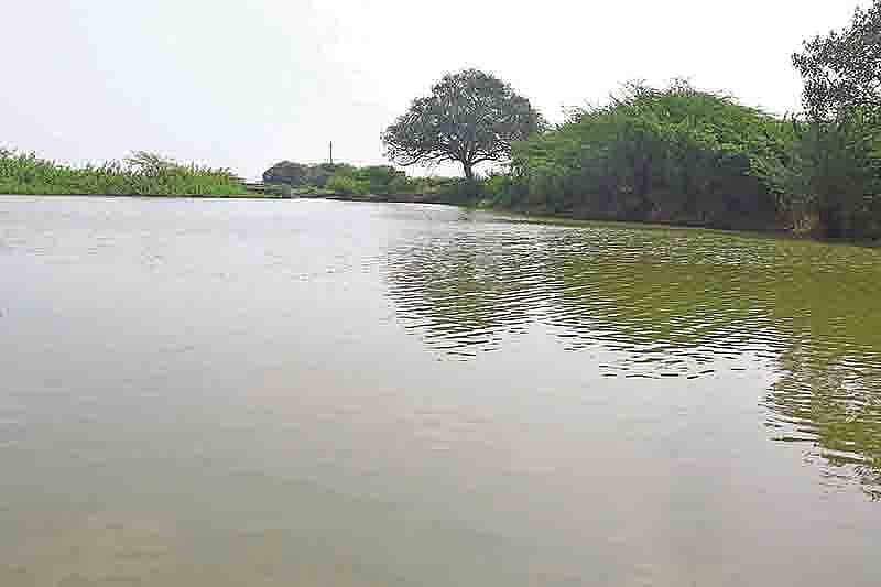 துரைச்சாமிபுரம் மாடசாமி கோயில்